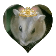 Sticker of hamster Mil of cure