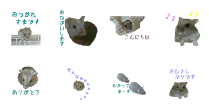 Sticker of hamster Mil of cure