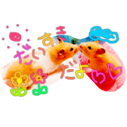 hamster michan