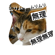 warabi  3