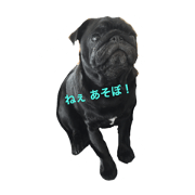 I'm TARO