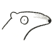 My neighbor "Southern Tamandua"