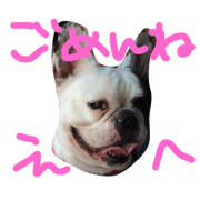 apologies omochi