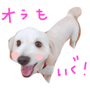 maru's life