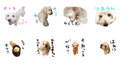 maru's life