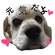 Happy love coker