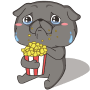 Black Pug 2