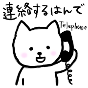tsugarun white cat
