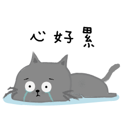 cute Blue cat 2