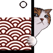The cats which are looking from hiding