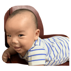 楷寧