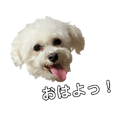 Greetings from Mike & Obi