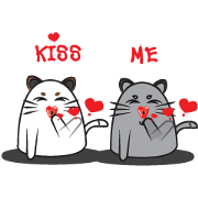 I am cat white and I am cat gray