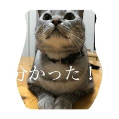 saya_20210729142932