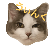 cat of twins mu&ran