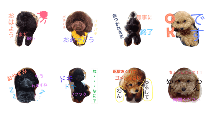 Cutebrothers