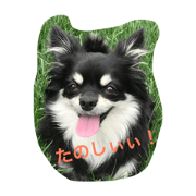Anko's Feelings
