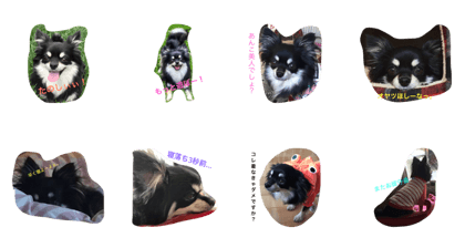 Anko's Feelings