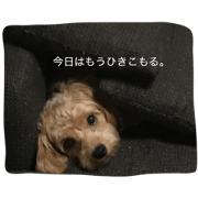 WARABI dayo