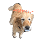 puchan1