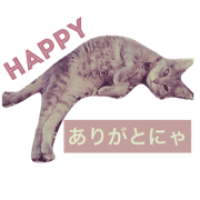 Nostalgic cat 2