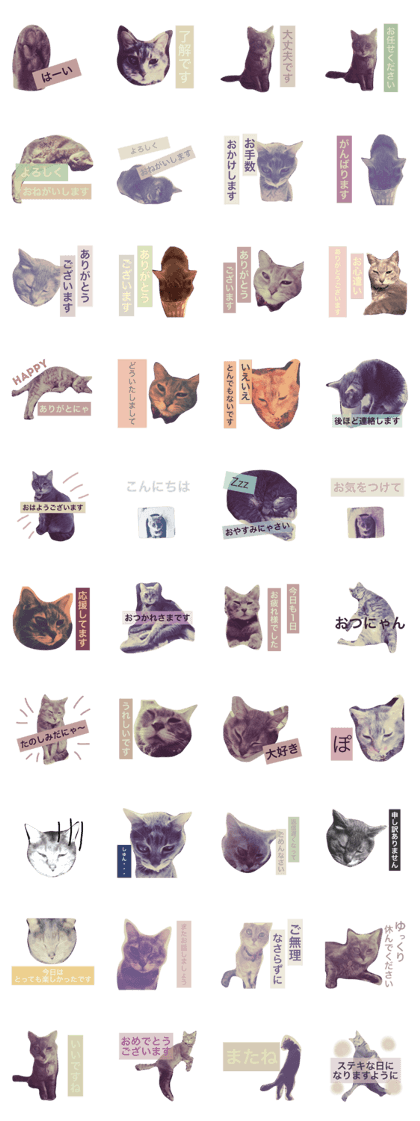 Nostalgic cat 2