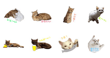 ucino neko 2hiki 3