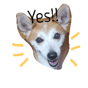 SHUUUUUUUUUU3