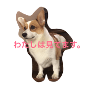 mana_42.195_1
