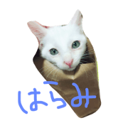 Haramichan