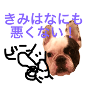 encourage omochi
