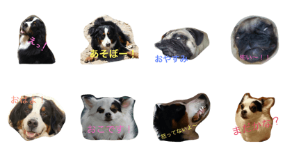 Leonfamily