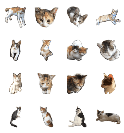 love cats!part3