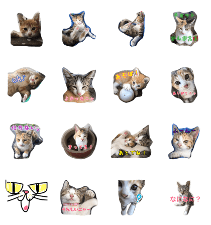 cats!part2