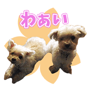POCHI and CAN'S Sticker