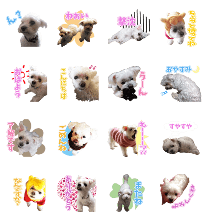 POCHI and CAN'S Sticker