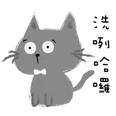 cute blue cat cat