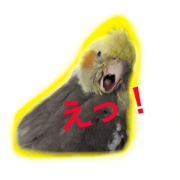 Okame_Daddy 1