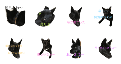 kurosukeKai