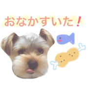 kotorasan
