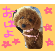 Lei Life  ver2