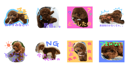 Lei Life  ver2