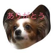 Mizunoken