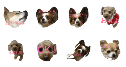Mizunoken