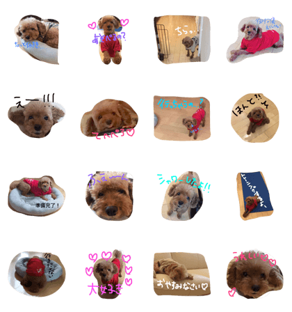 Mocha1