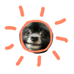 黒ポメふうた Lineクリエイターズスタンプ Stamplist 黒ポメふうた Lineクリエイターズスタンプ Stamplist