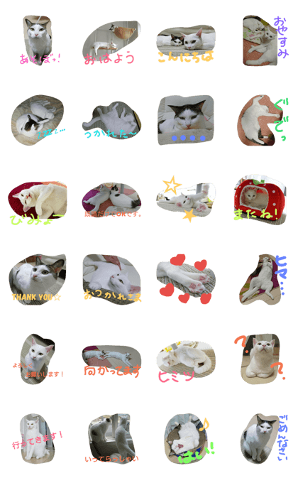 Tama & Omochi