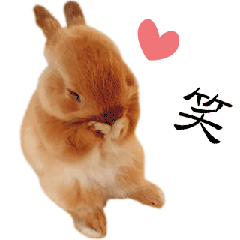 Japanese cutie bunny Ver.2