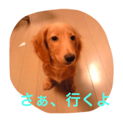 I understand without words