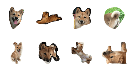dog qqqqqq